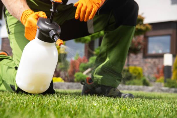 Best Best Pest Control Companies  in Lawrence, NY